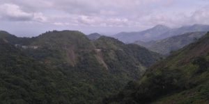 Kerala Tour Packages by KTDC