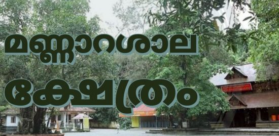 south indian lord nagaraja temple south indian lord nagaraja temple