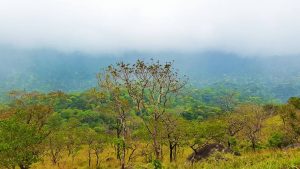 Agasthyamala tourist destination images