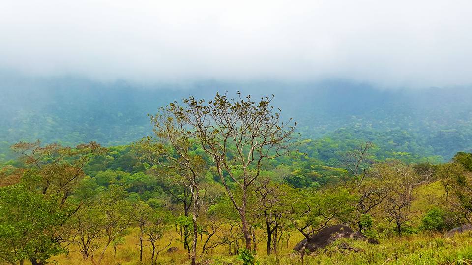 Agasthyamala tourist destination images