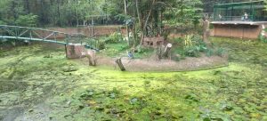 aranmula vallasadya aranmula vallasadya