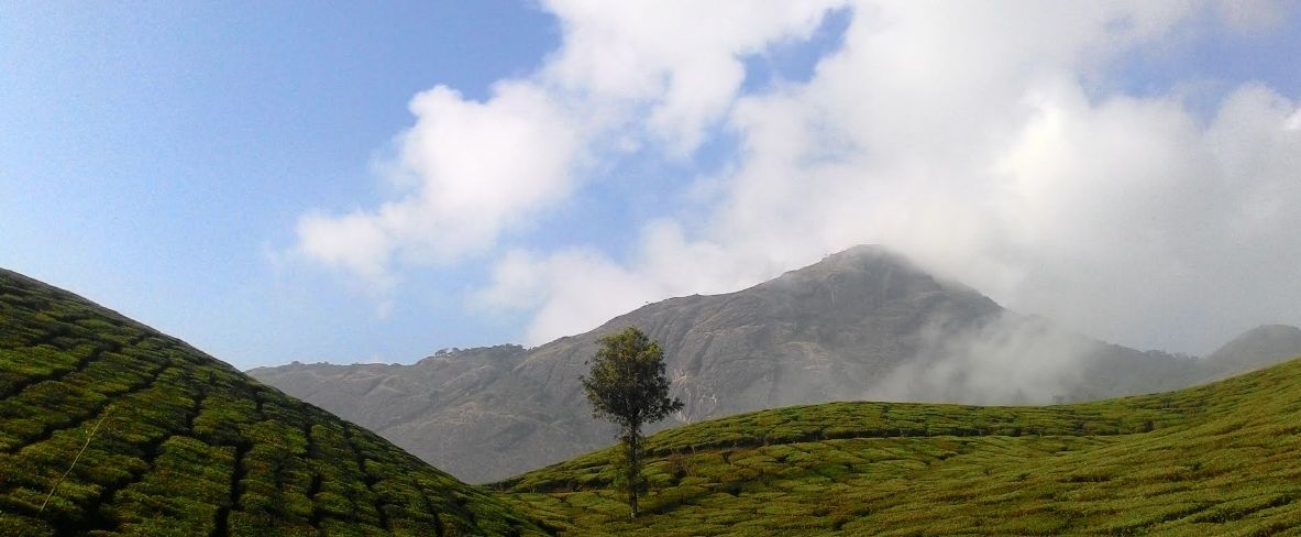 devikulam hill station kerala