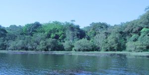 pookode lake location