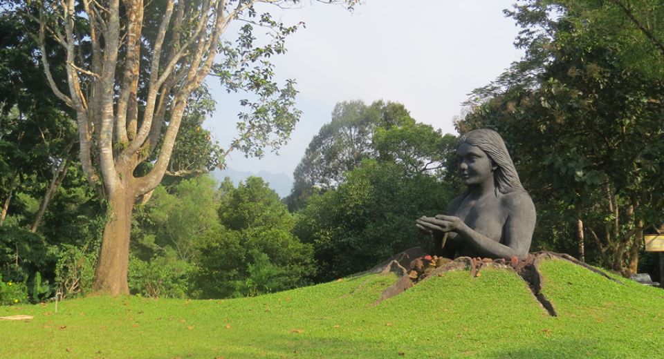 Arippa bird sanctuary