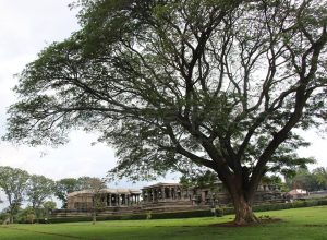 Hoysaleswara Temple Halebid