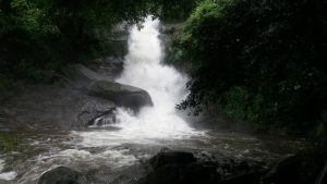 Meenvallam waterfalls location