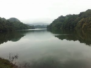 Ponmudi Dam munnar located in idukki