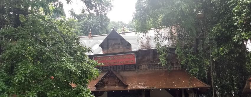 mannarasala nagaraja temple valiya amma