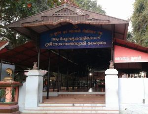 vettikodu nagaraja temple