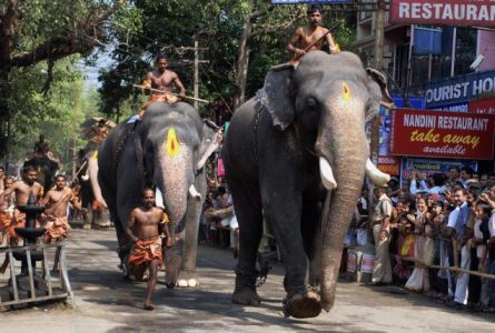 Guruvayoor anayottam date Guruvayoor anayottam date