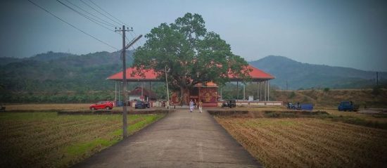 Uthralikkavu pooram 2018 date