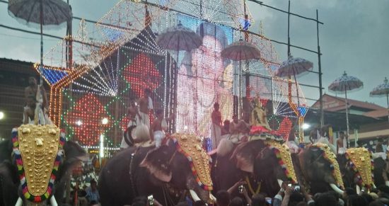 Kottayam Pakal Pooram Elephants Names