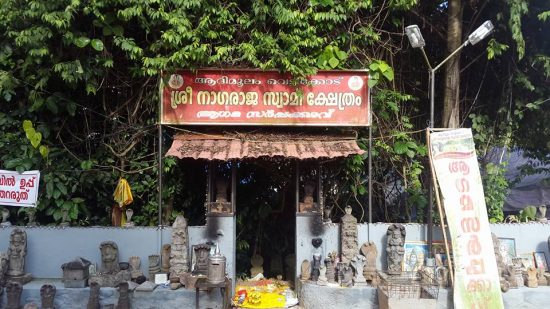 vetticode ayilyam festival date