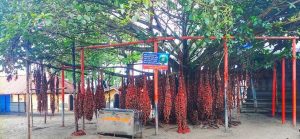 kattil mekkathil temple vazhipadukal kattil mekkathil temple vazhipadukal