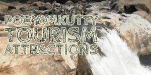 pooyamkutty distance from my place