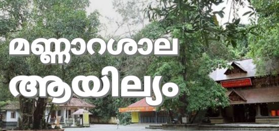 aayillayam pooja at nagaraja temple aayillayam pooja at nagaraja temple